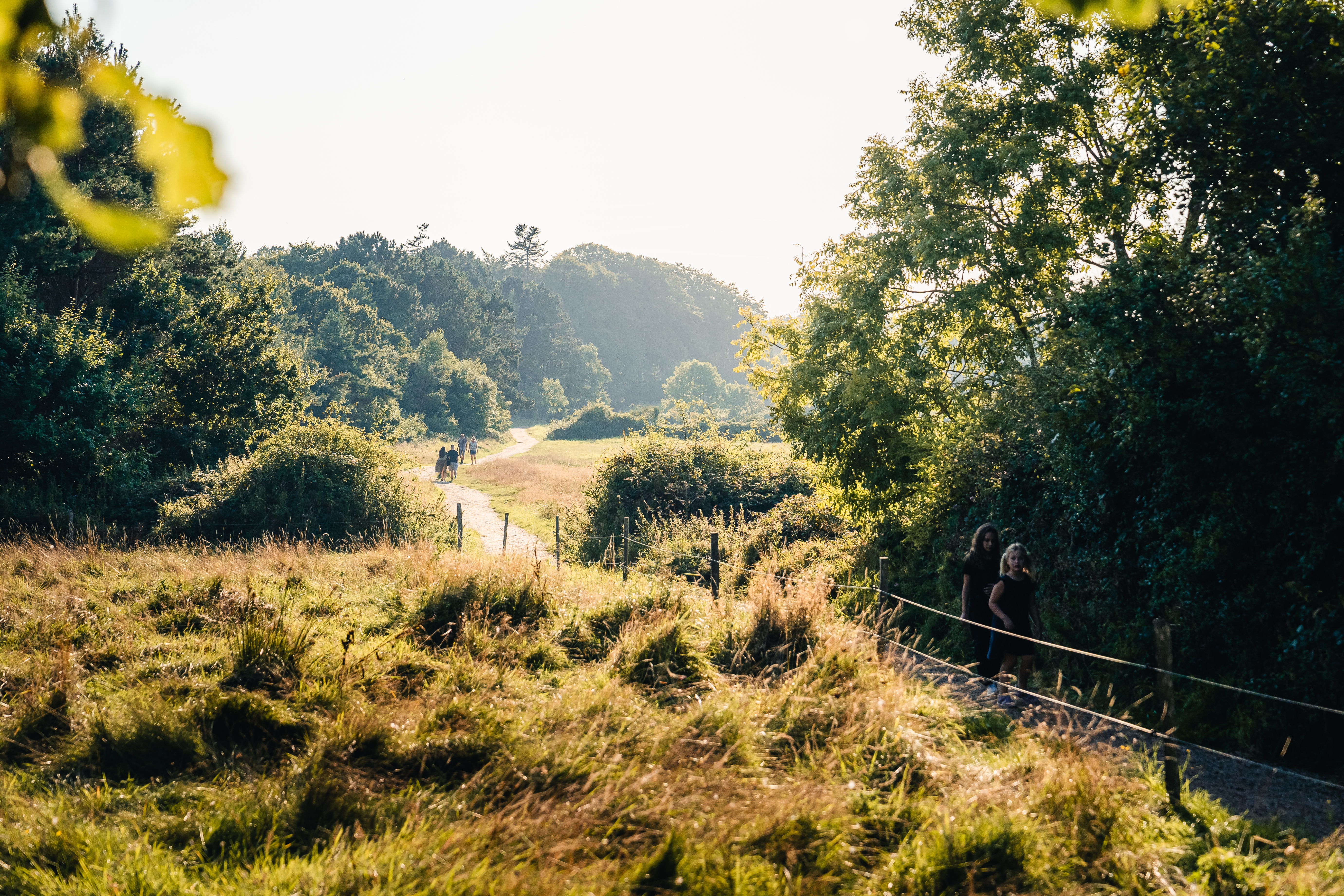 Naturen på Trelde Næs