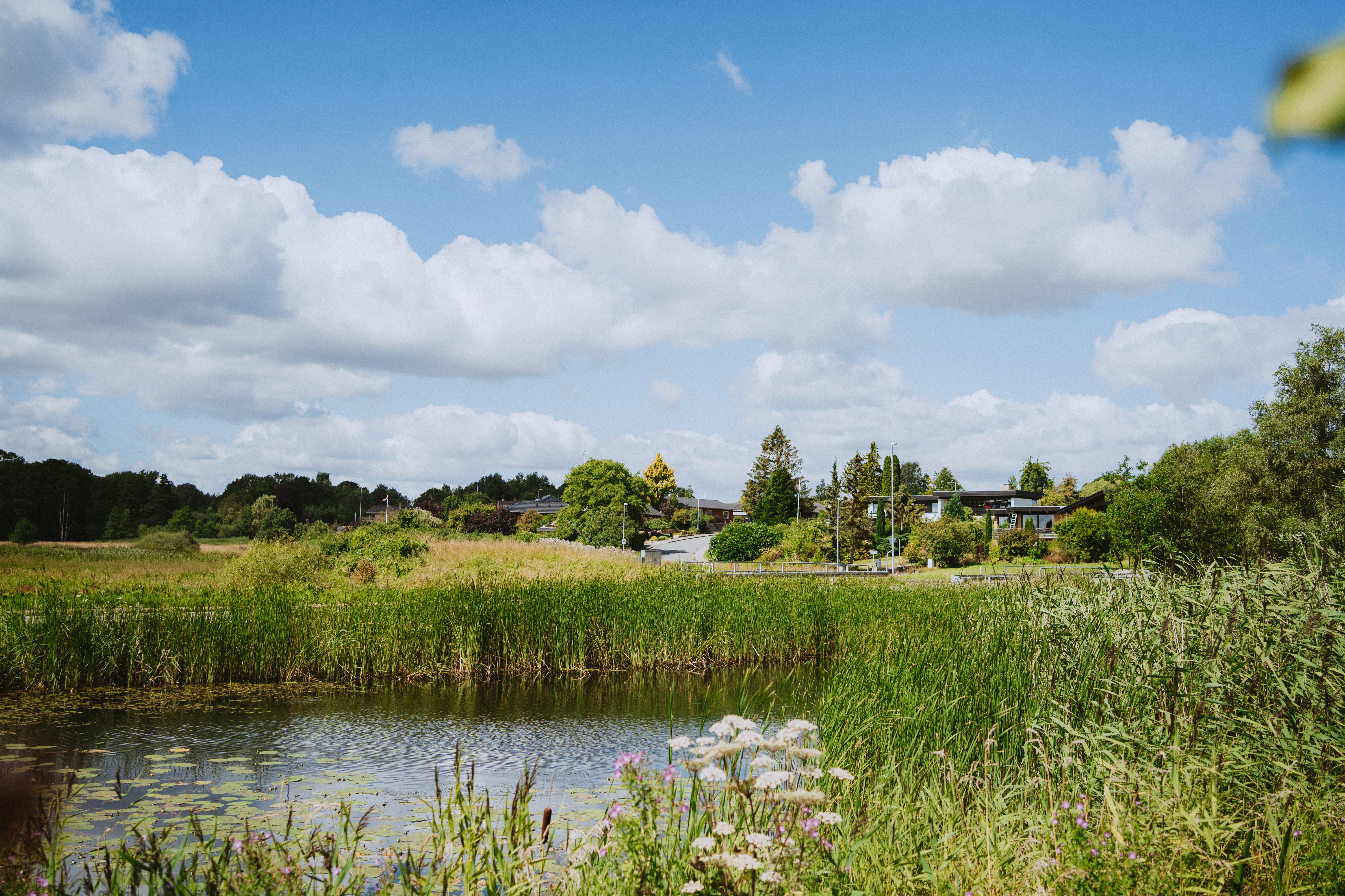 Bredstrup-Pjedsted landsbymiljø